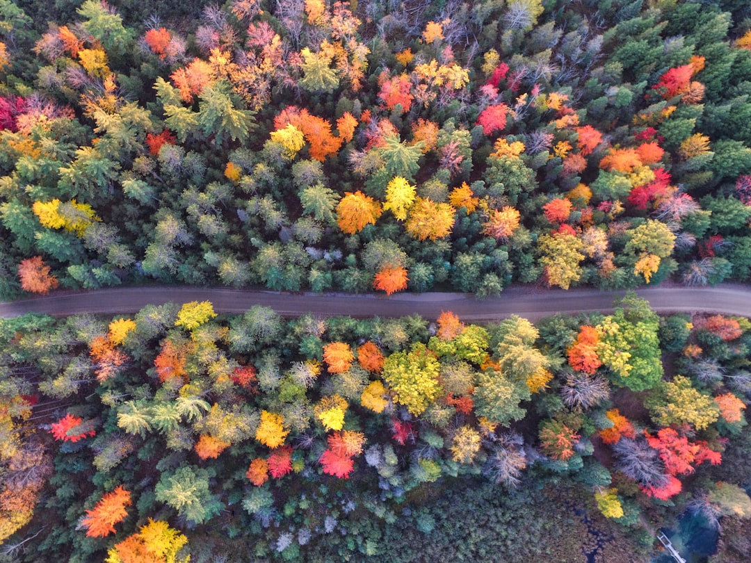 De Verandering van Tasfunctionaliteit in de Herfst: Ontdek de Trends van Dit Seizoen!